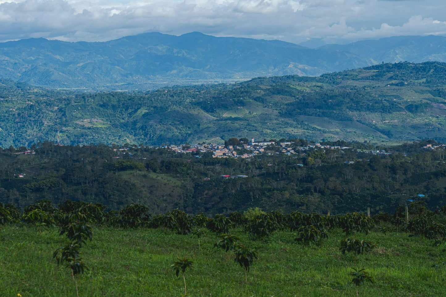 Colombia - Small Producers of El Bombo
