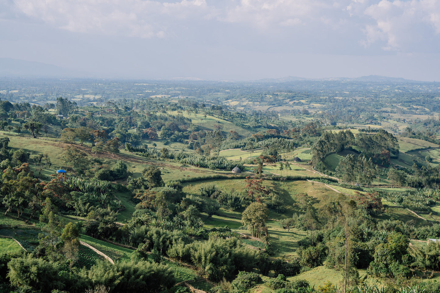 Ethiopia - Mundayo