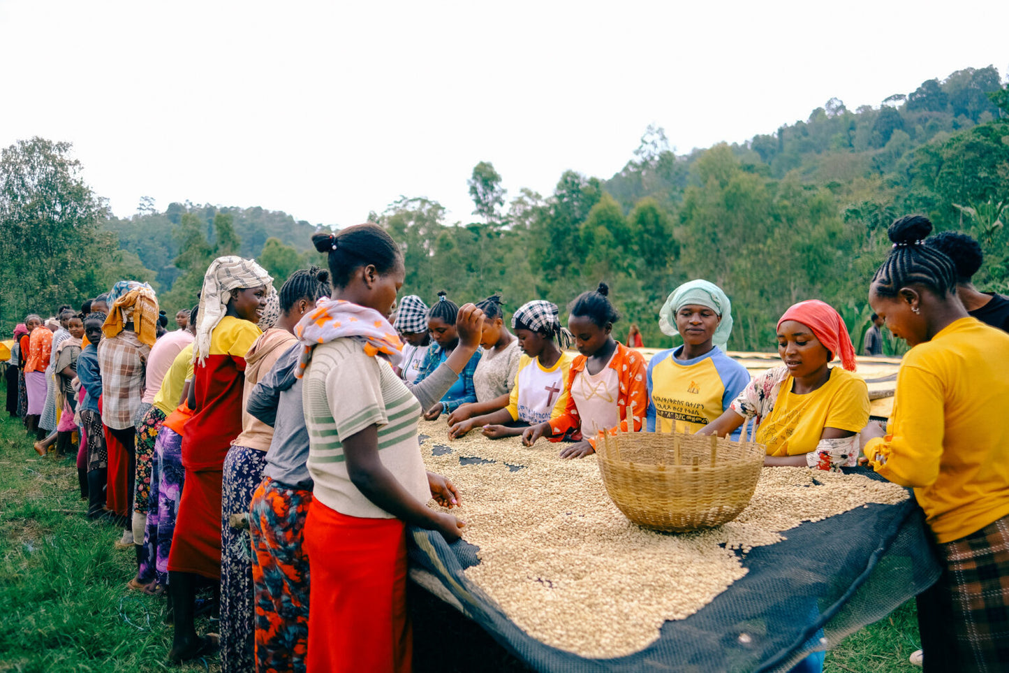 Ethiopia - Adorsi