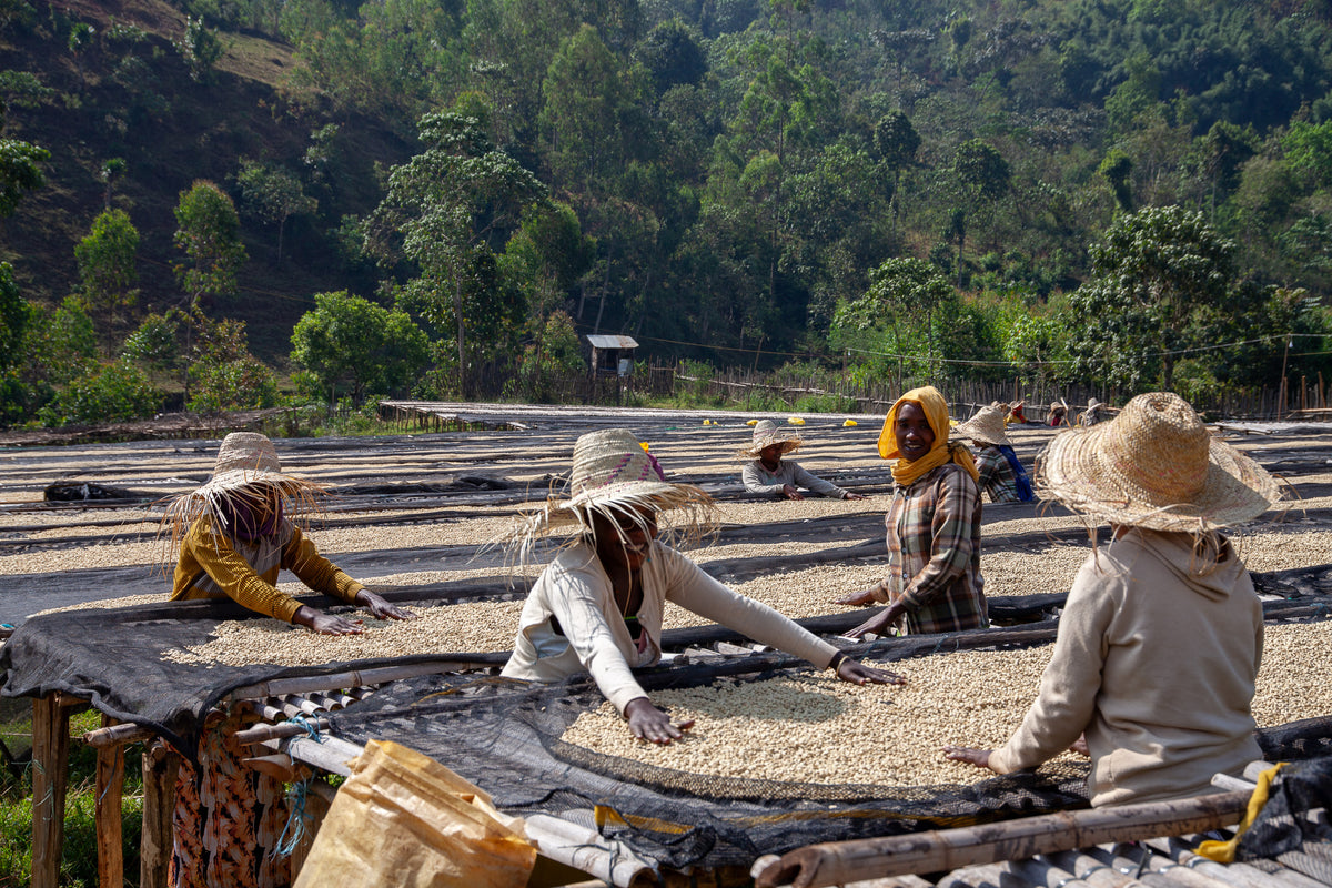 Ethiopia - Ayla Bombe