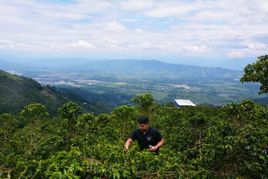 Colombia - El Mirador