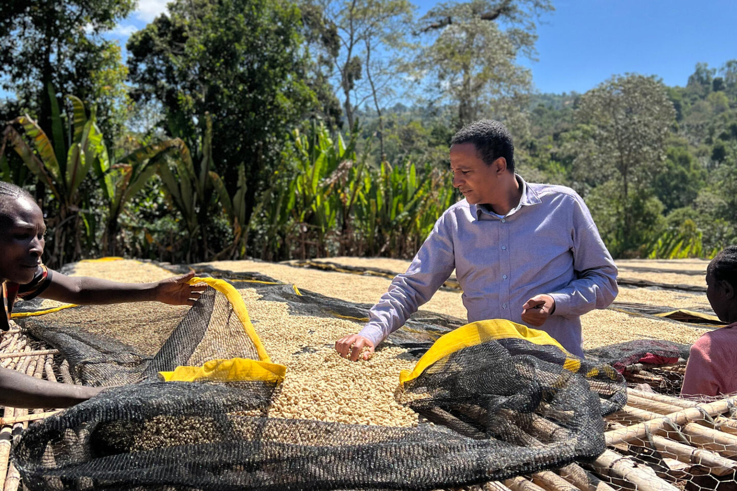 Ethiopia - Bishan Wate Washed Premium