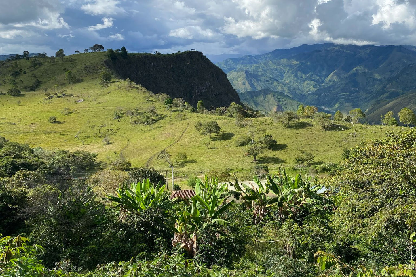 Colombia - La María