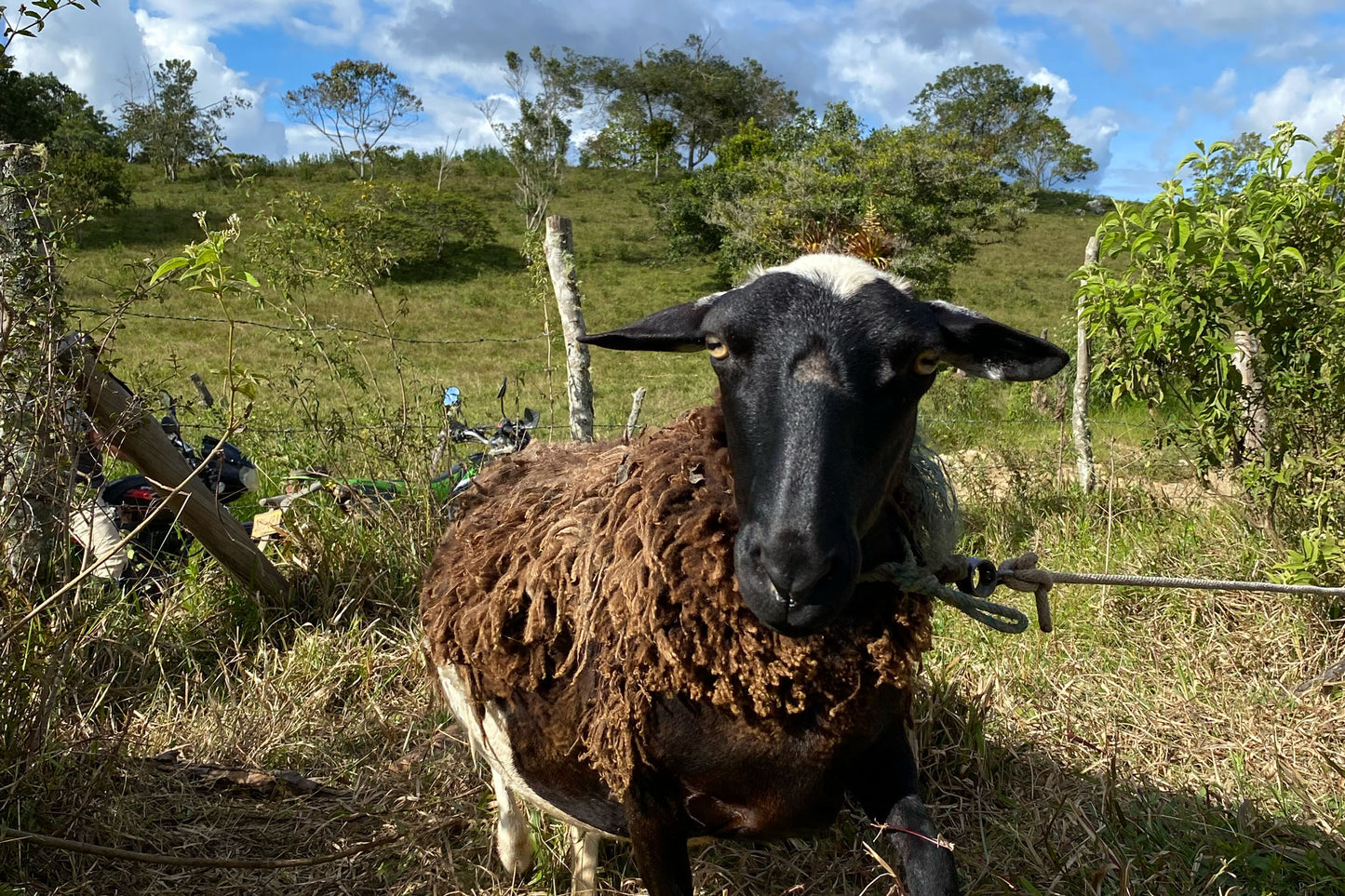 Colombia - La María