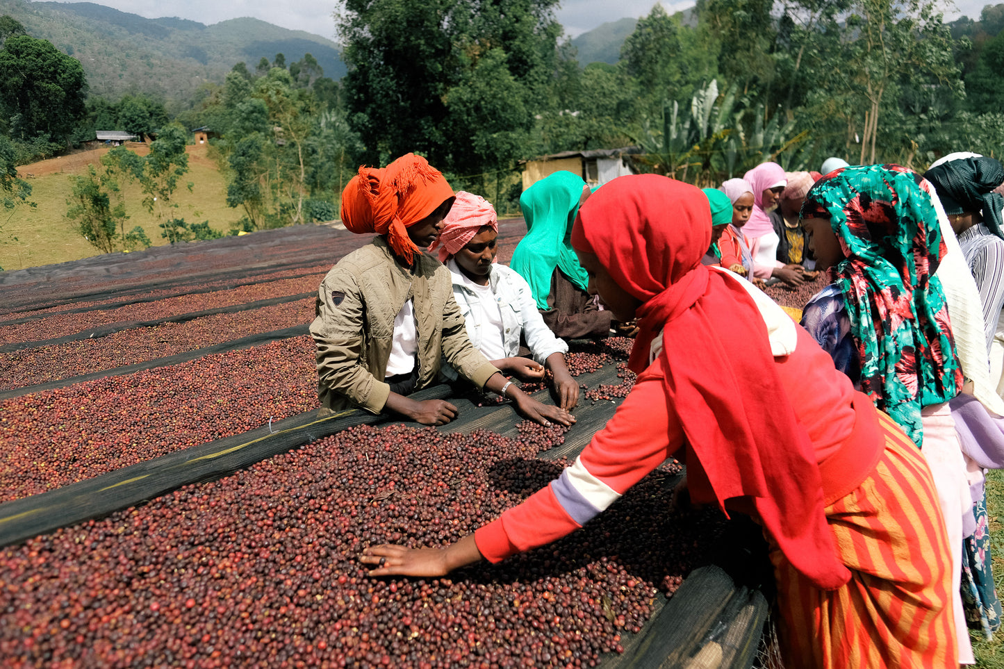 Ethiopia - Mundayo