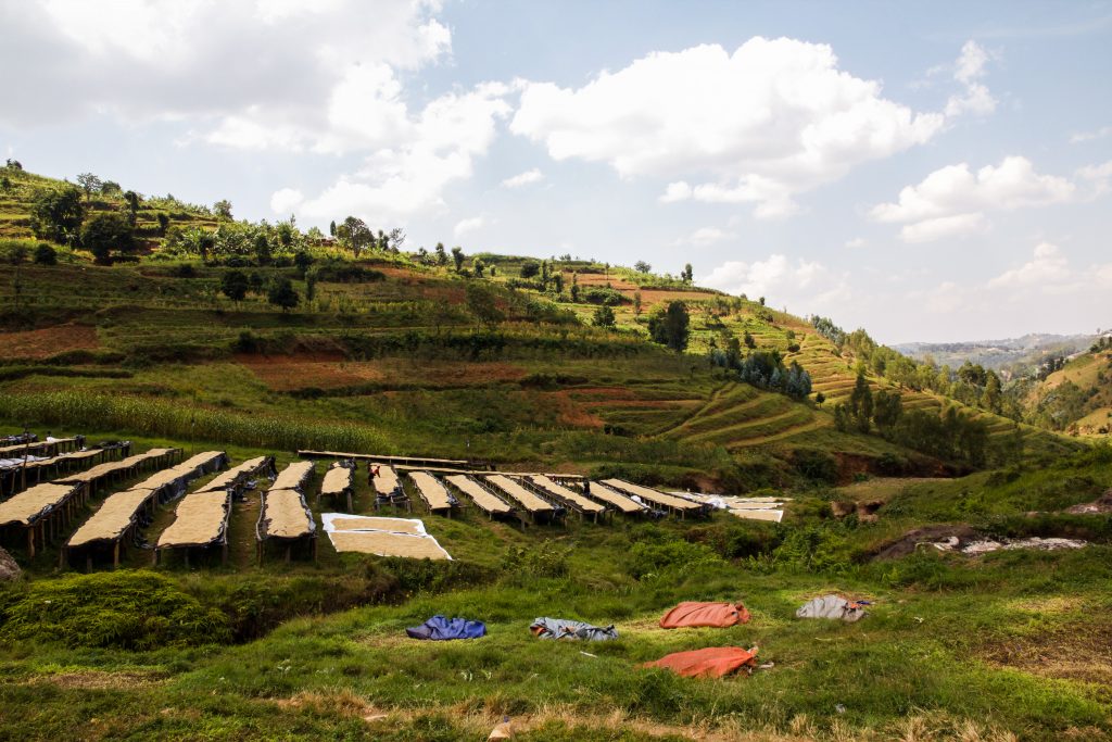 Rwanda - Remera Tuzumurane