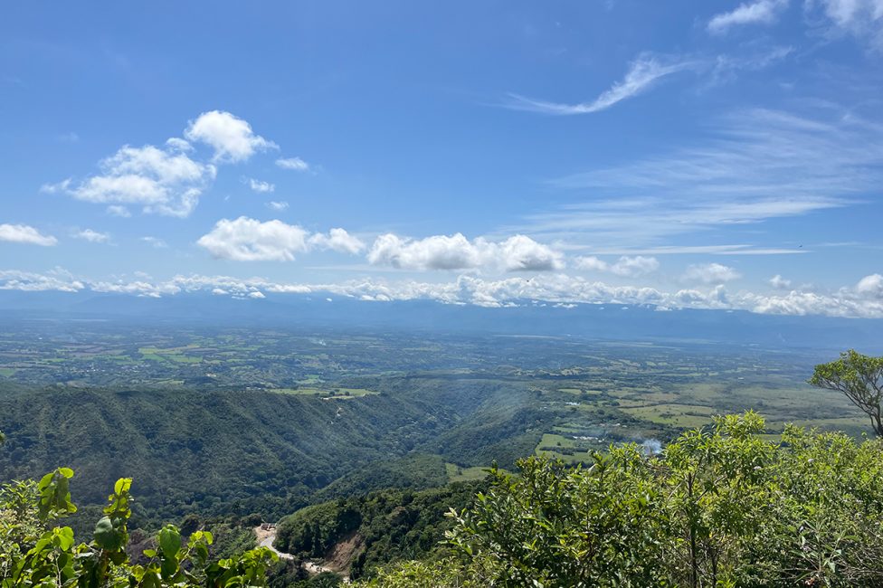 Colombia - Canta Ranas