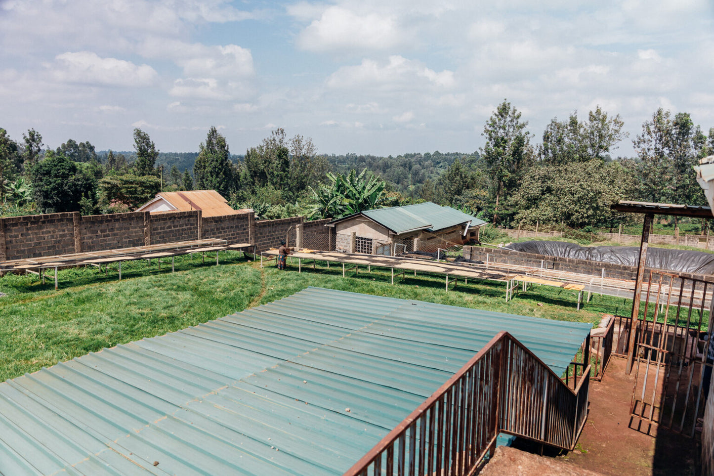 Kenya - Waturi Estate AB